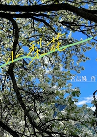 小梨花弹唱合集